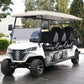 DLT Electric Golf Cart - Model B