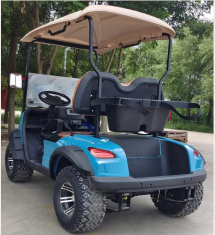 DLT Electric Golf Cart - Model B