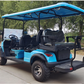 DLT Electric Golf Cart - Model B