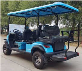 DLT Electric Golf Cart - Model B