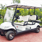 DLT Electric Golf Cart - Model C