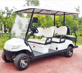 DLT Electric Golf Cart - Model C