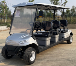 DLT Electric Golf Cart - Model C