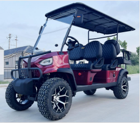 DLT Electric Golf Cart - Model D