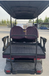 DLT Electric Golf Cart - Model D