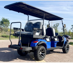 DLT Electric Golf Cart - Model E